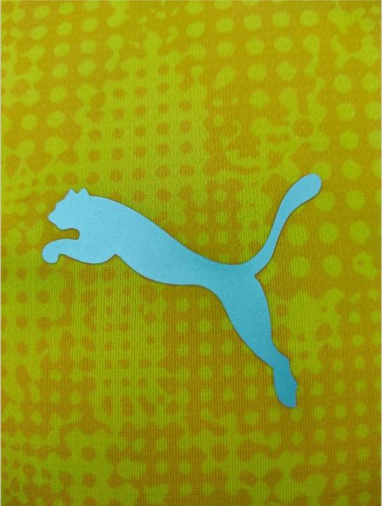 Actual product image Puma teamCUP Training Jersey (S)