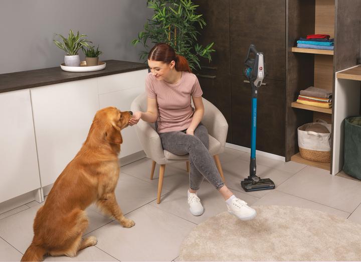 Produktbild Hoover H-FREE 300 HF322TP 011 Grau Beutellos