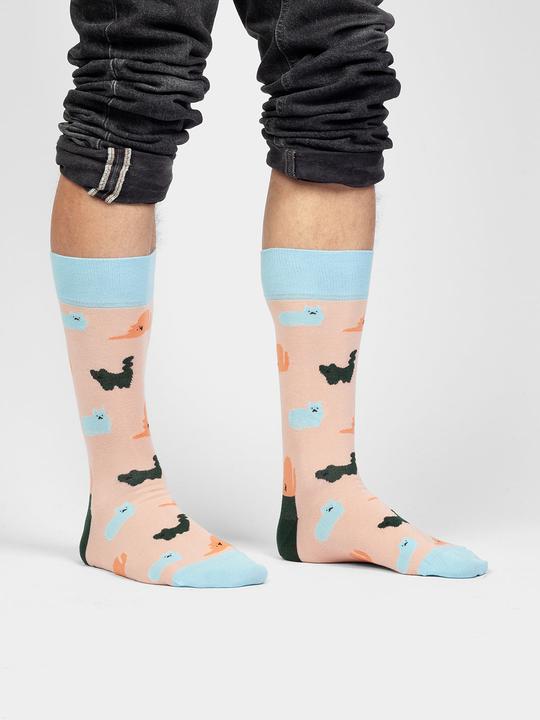 Produktbild DillySocks Purrrfect (Einzelpack, 36 - 40)
