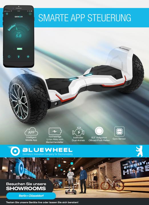 Actual product image Bluewheel HX510 (16 km/h, 700 W)
