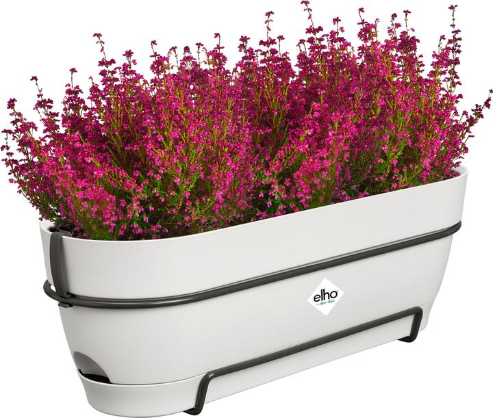 Image du produit Elho Vibia Campana Balkonkasten Allin1 (26 cm)
