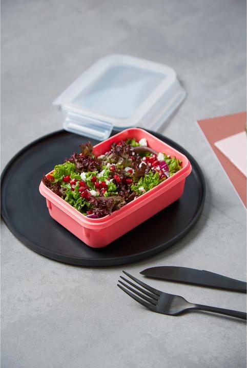 Actual product image Emsa Clip & Close storage container 2.2 l, red (2.20 l)