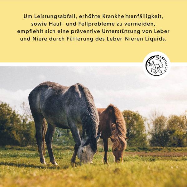 Produktbild Annimally Leber-Nieren Liquid (1 x, 1000 g)