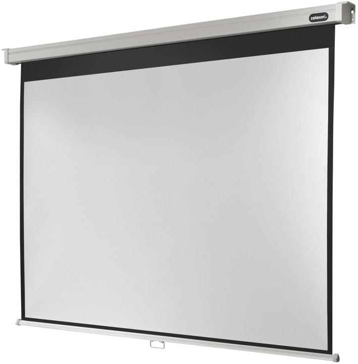 Actual product image Celexon Rollo Professional, Canvas, 4:3 (133.07", 4:3)