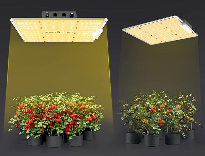 Actual product image Spider Farmer SF1000 (LED, 240 V)