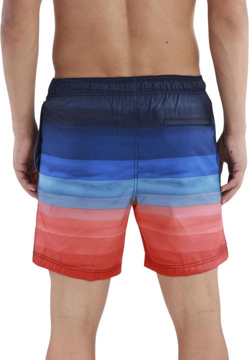 Image du produit Speedo SNA Print Volley 17" Watershorts (XL)