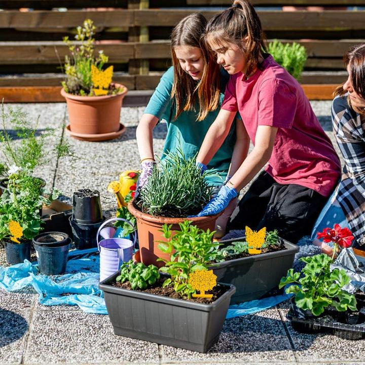 Produktbild Werkstein Fruchtfliegen Falle Gelbsticker Trauermücken Klebefalle für Blumentopf 60er Set