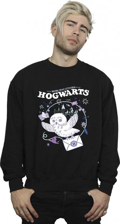 Produktbild Owl Letter From Hogwarts Sweatshirt (XL)