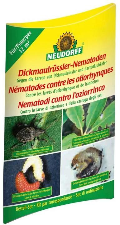 Neudorff Largemouth weevil nematodes (order set with order voucher) (Harmful insects)