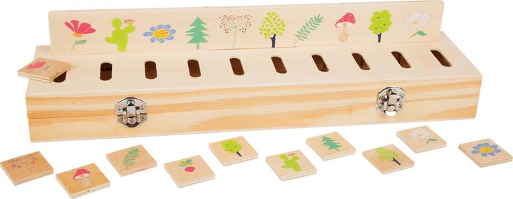 Actual product image small foot Educate picture sorting box