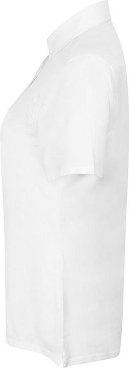 Actual product image Henbury Womens/Ladies Oxford Modern Shirt (S)