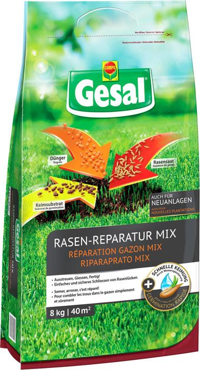 Produktbild Gesal Rasen-Reparatur MiX (Rasensamen)