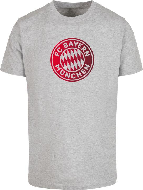 FC Bayern München Logo GR T-Shirt Round Neck - 115339 (L)