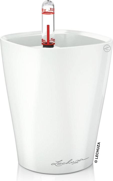 Produktbild Lechuza Mini Deltini (10 cm)