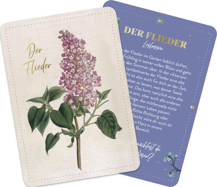 Image du produit Die geheimnisvolle Sprache der Blumen - 50 Orakelkarten für das ganze Jahr (Allemand, Maison d'édition Groh, 2024)