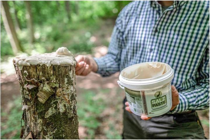 Image du produit Eurohunt Pâte de sel seau de 2 kg