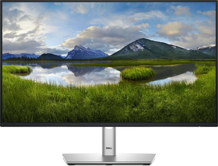 Dell P2425H (1920 x 1080 Pixel, 23.80")