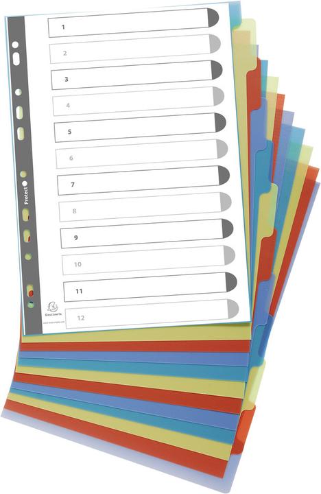 Image du produit Exacompta Intercalaires poplypropylène recyclé Forever® 12 positions - A4 - Couleurs assorties