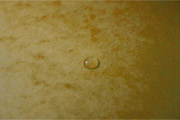 Immagine prodotto Exacompta Cartella con elastico (A4, 1 x)