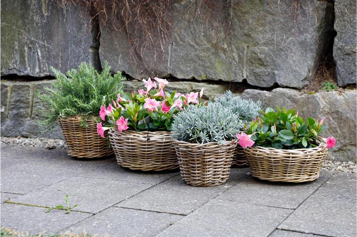 Produktbild Jaco Pflanzentopf Rattan Korb rund (50 cm)