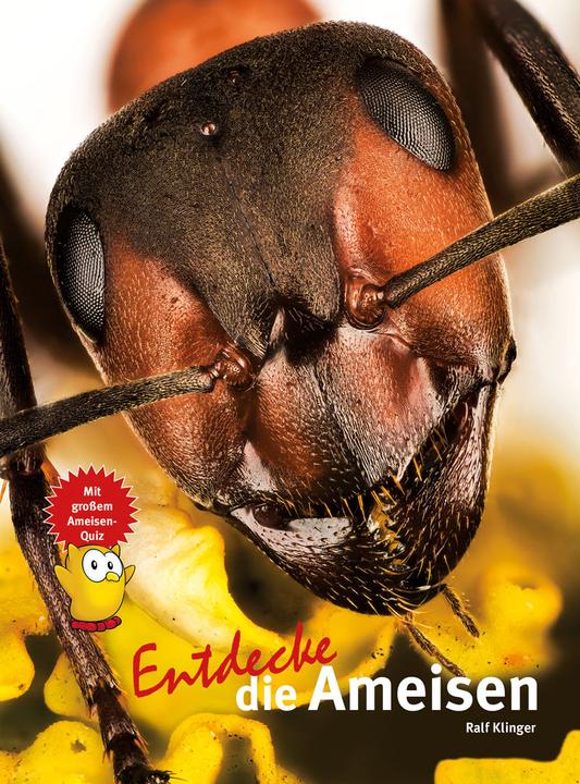 Actual product image Entdecke die Ameisen (German, Ralf Klinger, 2023)