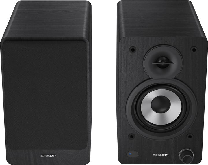 Actual product image Sharp CP-SS30 (1 pair, 60 W)