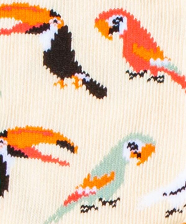 Produktbild DillySocks lil Sand Aviary (Einzelpack, 19 - 22)