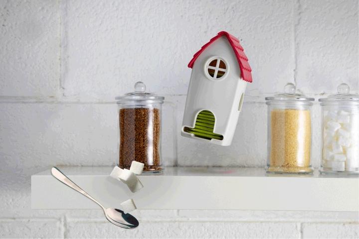 Actual product image Ototo Tea House