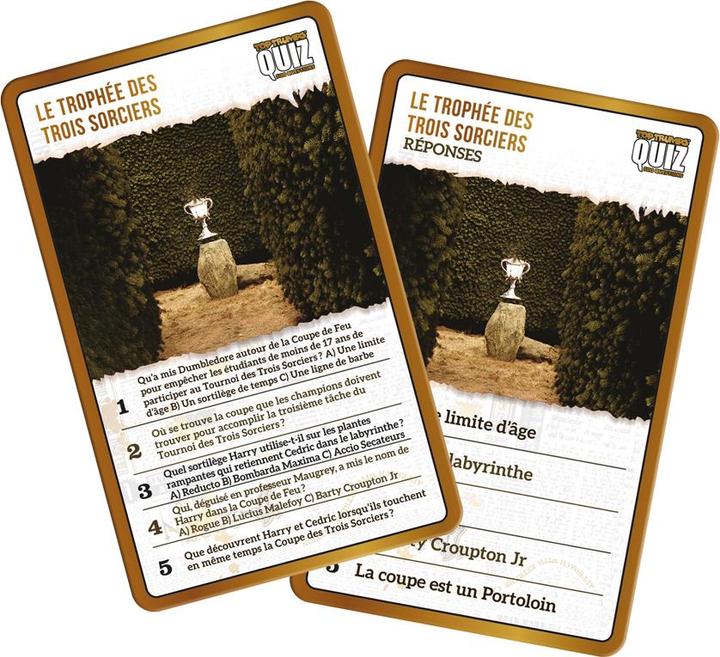 Image du produit Winning Moves Quiz Harry Potter Jeu de cartes Fête (Français)