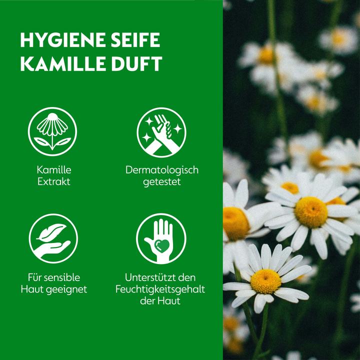 Produktbild Dettol Hygiene Seife No-Touch Nachfüller Kamille Duft - 250 ml (Handseife Nachfüllpackung, 250 ml)