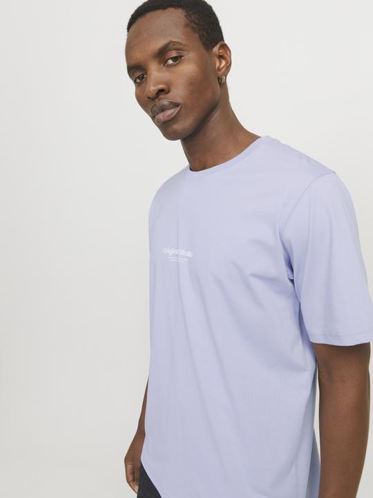 Actual product image Jack & Jones Jorvesterbro Tee Ss Crew Neck Noos (M)