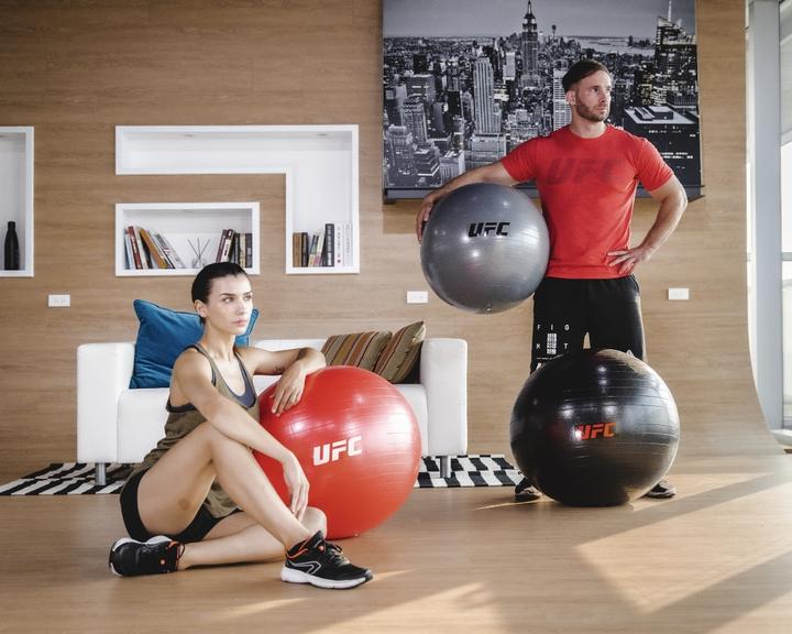 Actual product image UFC Fitball - 65cm (65 cm)
