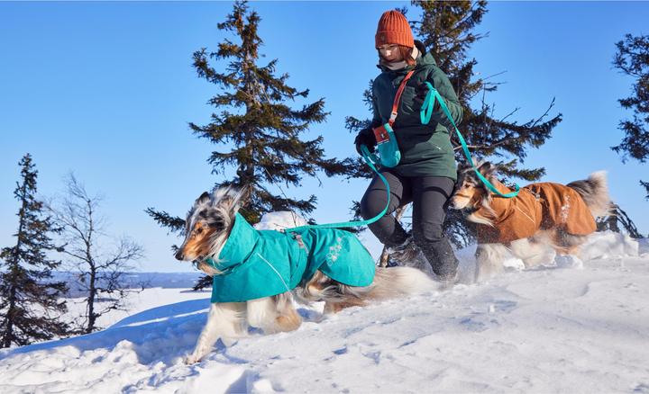 Actual product image Hurtta Monsoon V2 Eco green mackintosh, 70 cm (70, Dog raincoat)