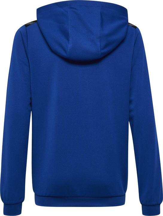 Actual product image hummel Hmlauthentic Pl Hoodie Kids (140)