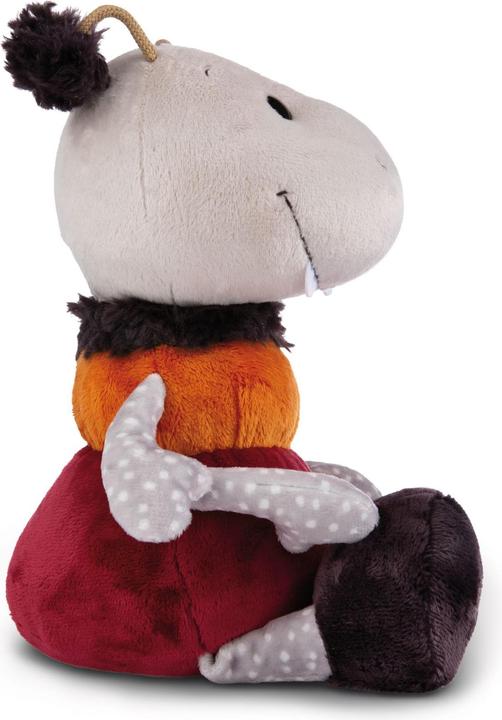 Image du produit NICI 49443 Doudou fourmi Enzi 35cm qui s'agite GREEN (37 cm)