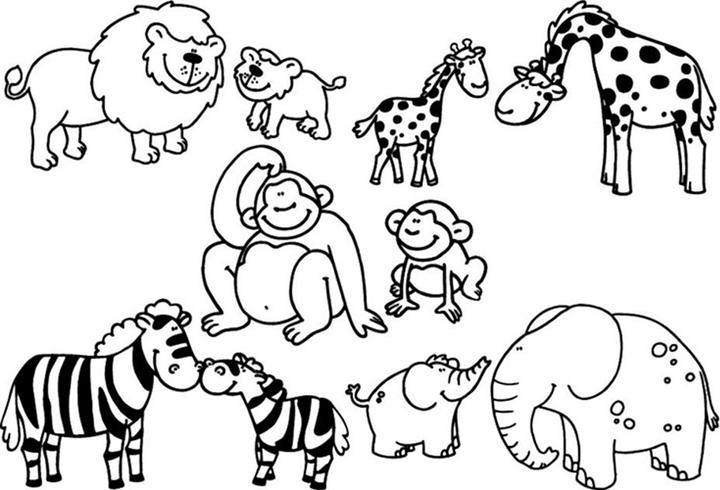 Image du produit Aladine Stampo Minos Safaritière