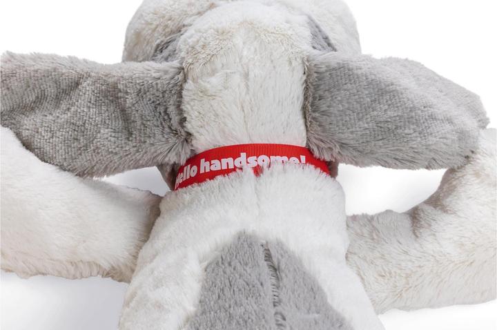 Actual product image Beeztees Ties (Plush toy dog)