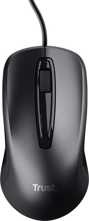 Actual product image Trust Carve Mouse USB Type-A Optical 1200 DPI Ambidextrous (Cable)