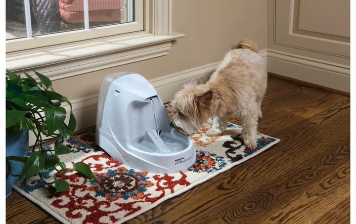 Produktbild PetSafe Platinum (5 l)