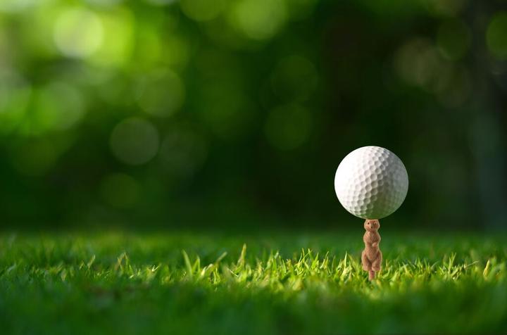Produktbild Kikkerland Gopher Golf Tee S/6