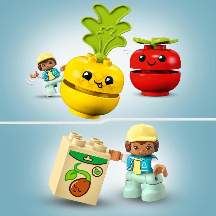 Actual product image LEGO Fruit and vegetable tractor (10982)