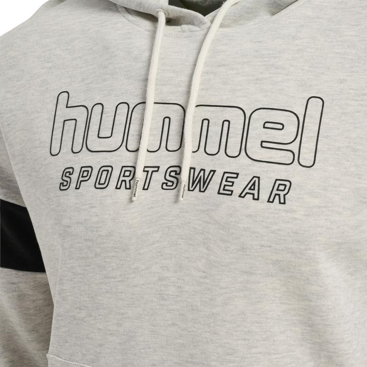Produktbild hummel hmlLGC BRYCE HOODIE (L)