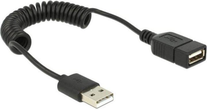 Delock Câble d'extension USB (0.20 m, USB 2.0)