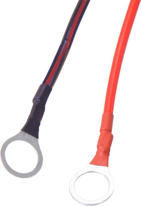 Immagine prodotto Filmer Caricabatteria mantenimento batteria 6V / 12V