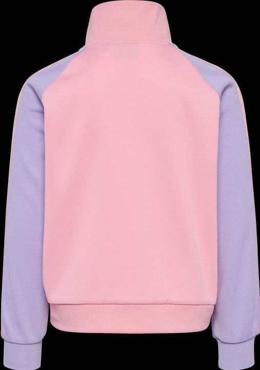 Actual product image hummel hmlDAILY ZIP JACKET (104)