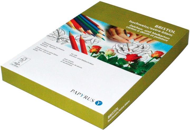 Immagine prodotto Scaldia Cartoncino Bristol A4, 160 g/m², 250 pezzi (160 g/m², 250 x)