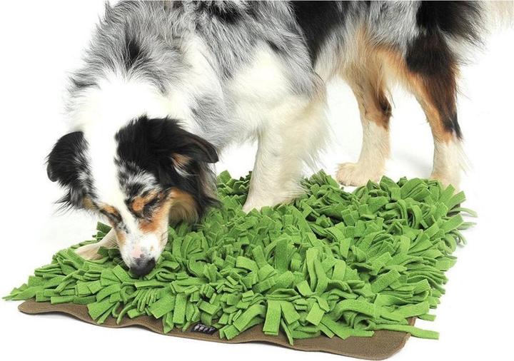 Immagine prodotto Knauder's Best Snooping prato (Giocattolo di attività per cani)