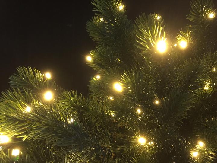 Image du produit Botanic-Haus Sapin d'art, hauteur 195cm, avec 432 lumières LED (195 cm)