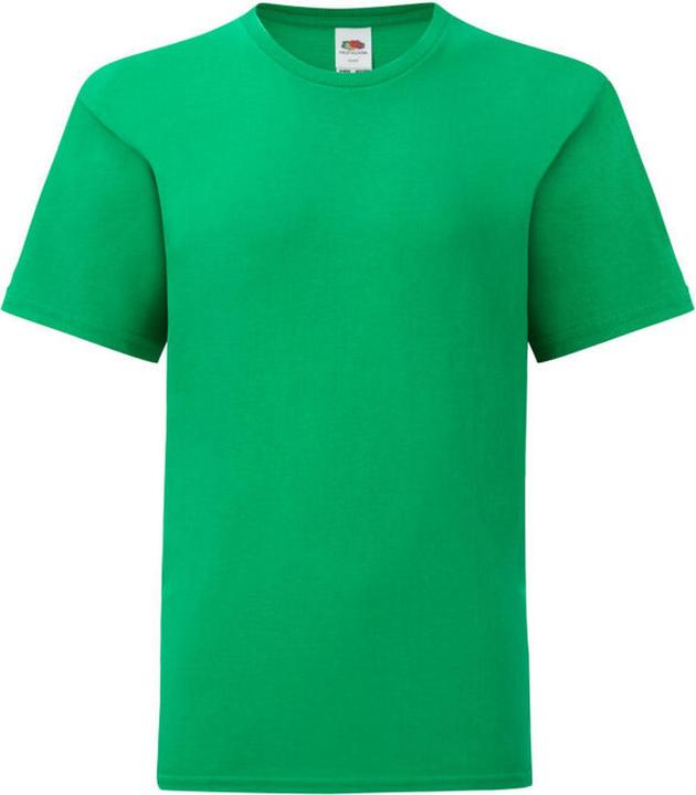 Fruit of the Loom Iconic 150 TShirt (116)