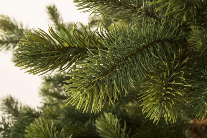 Image du produit Botanic-Haus Sapin d'art, hauteur 195cm, avec 432 lumières LED (195 cm)